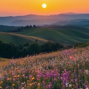 Meet your Posher, Valerie